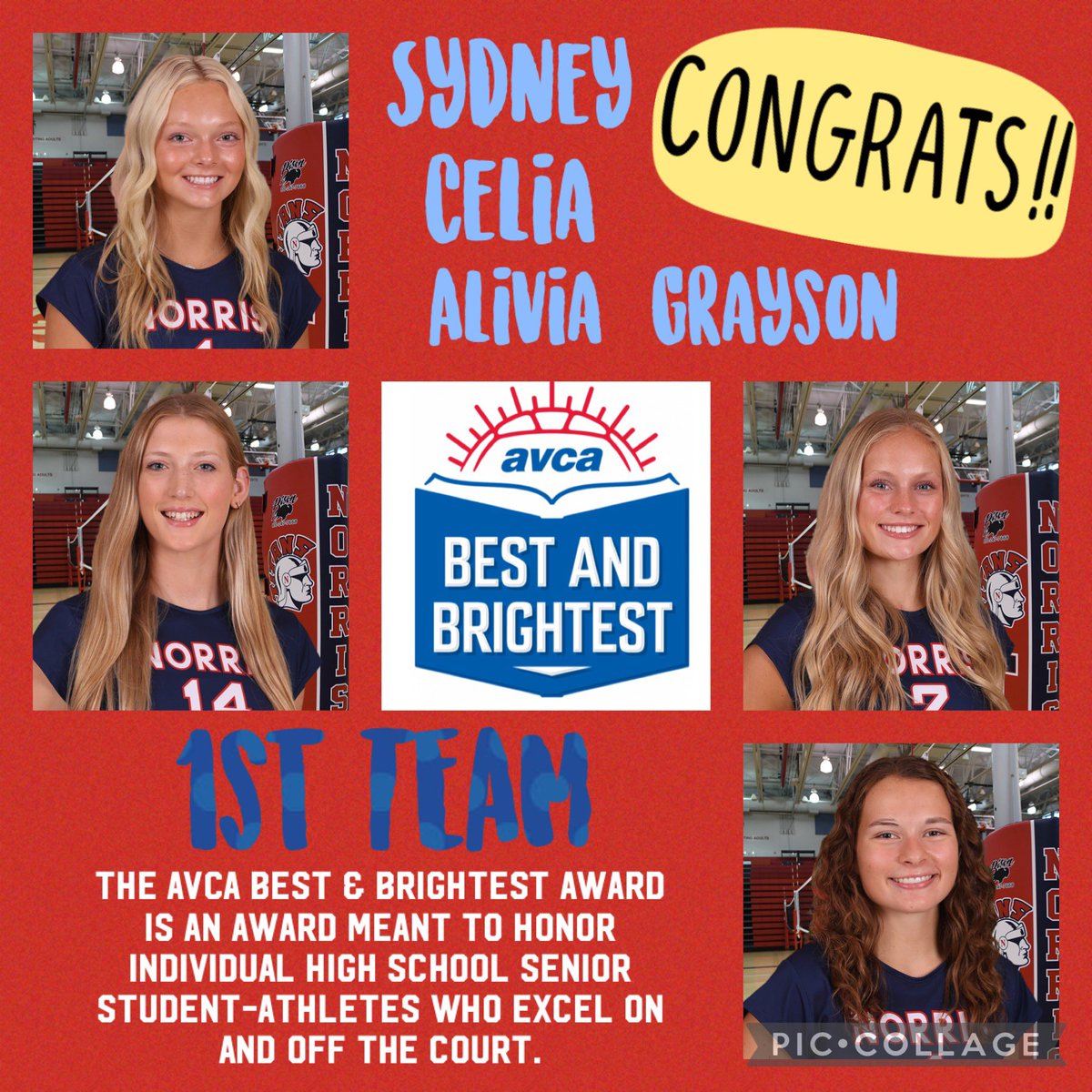 Congrats to these TITANS! AVCA Best and Brightest 1st Team!