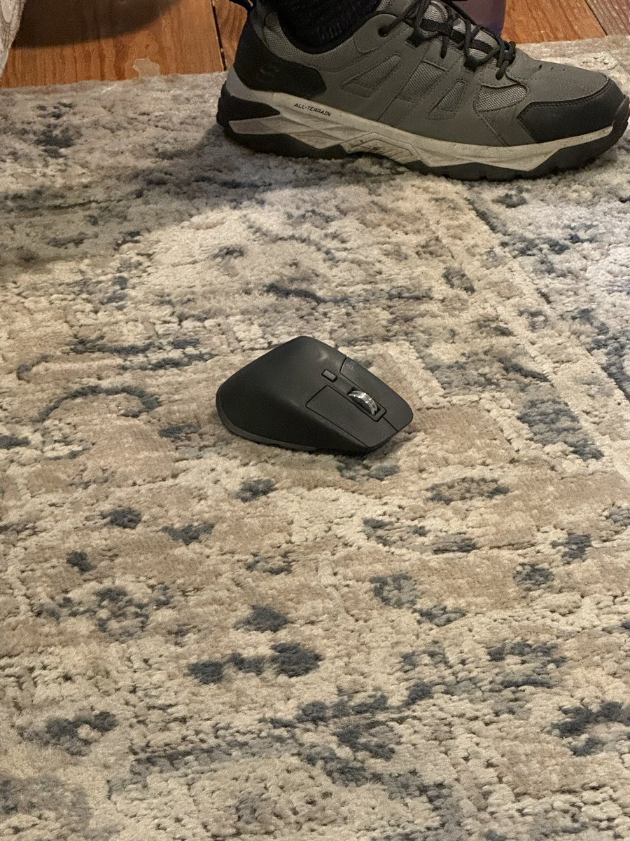 If your ML engineer doesn’t carry around a mouse like this in their pocket, you’re ngmi