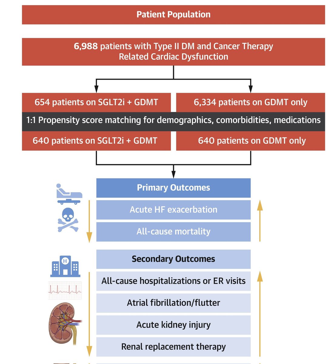 #SGLT2 inhibitor improved outcomes in #Cancer Therapy  #cardiotoxicity #CTRCD #cardioonc #cardiometabolic 

#SGLT2i shows incremental benefits in addition to other #GDMT 

🔻 #HeartFailure, mortality, hospitalization, #Afib #AKI 

@JACCJournals
@ACCinTouch @LaheyResearch