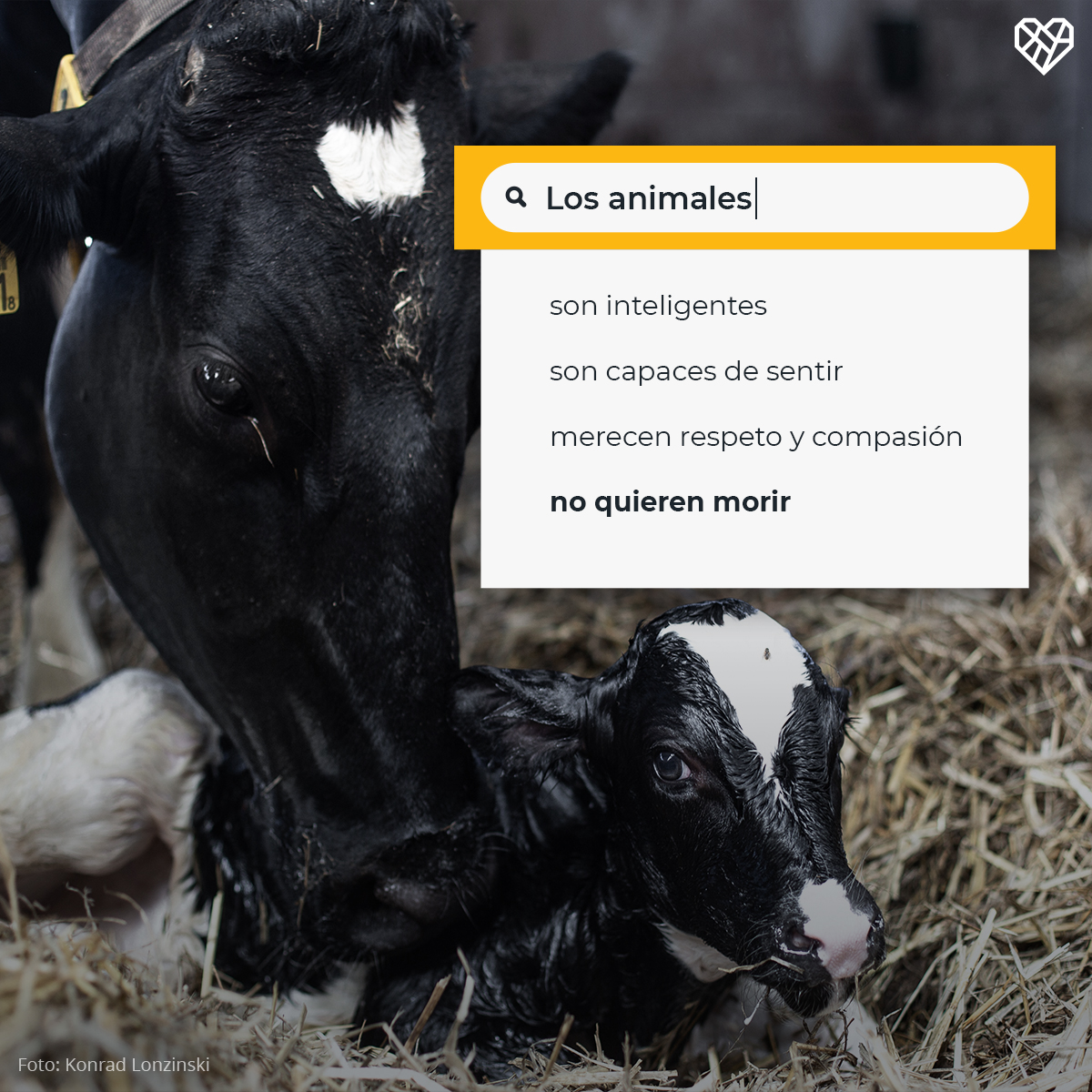 ¿Alguna vez te has detenido a pensar en la vida de los animales explotados en las granjas industriales? Más allá de los platos llenos con carne, existe un mundo de seres inteligentes, sintientes y con intereses individuales. 🐮🐷🐔 ¡Deja a los animales fuera de tu plato hoy!