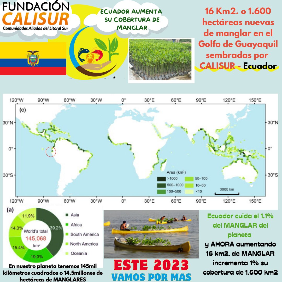 Gracias a nuestro equipo de Cangrejeros y comuneros de <a href="/CALISURALIANZA/">FUNDACION CALISUR</a>