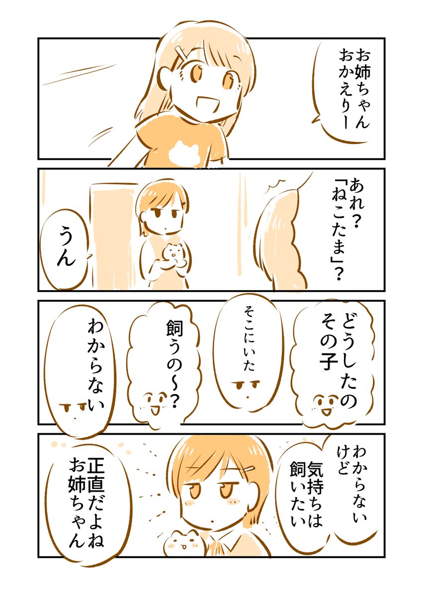 「ねこたま」のいる街(2/3) 