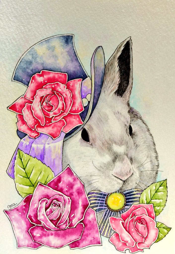 no humans traditional media flower hat rabbit white background rose  illustration images