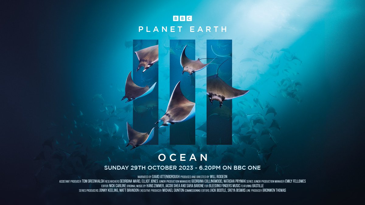 Will 💙💚 tweet media