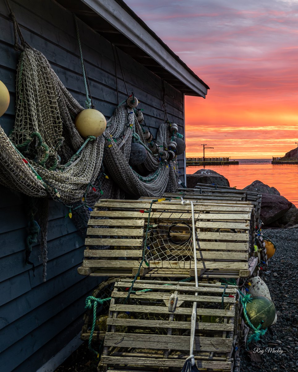Petty Harbour, Newfoundland. #newfoundland #Canada #explorenl #explorecanada