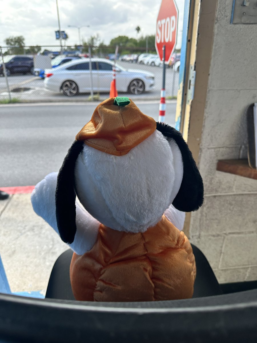 SnoopyWhereRU's tweet photo. Helping our friendly officers! @Anadgar16 @Pride_Mustangs https://t.co/SZTOj3WZfz