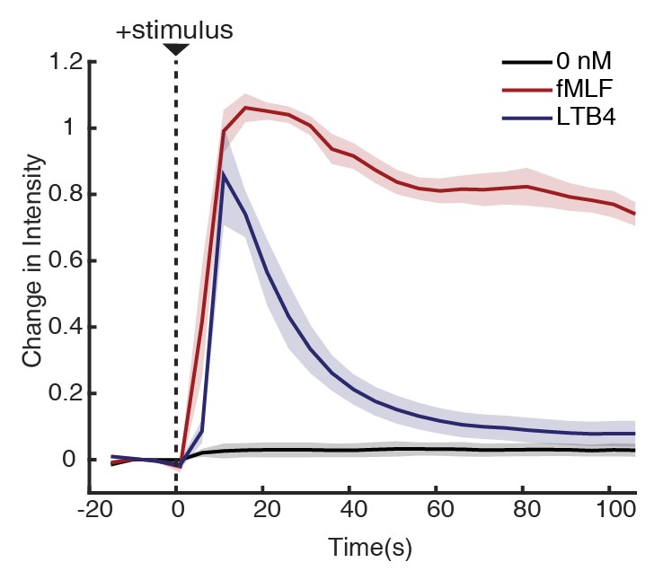 CollinsLab tweet media