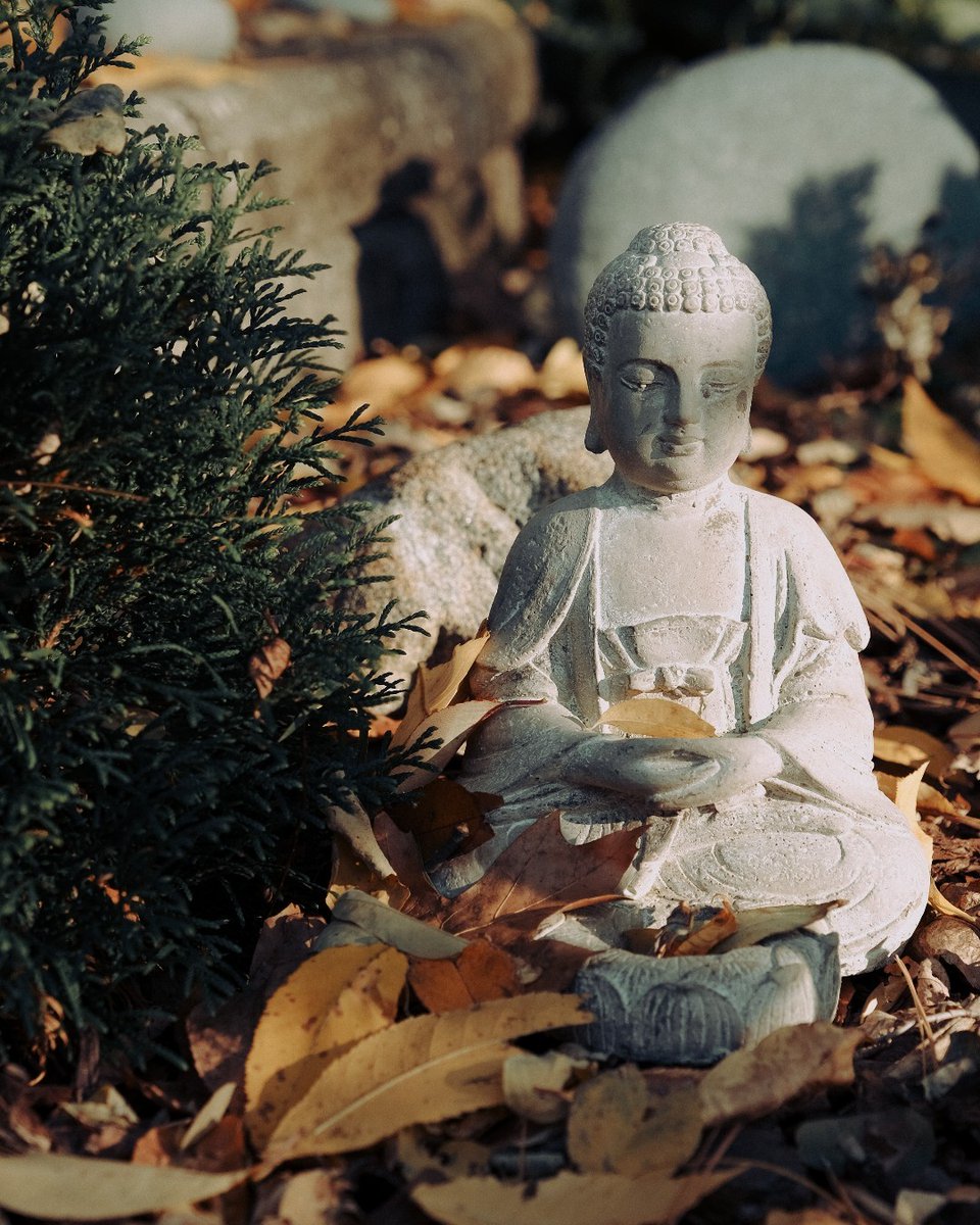 We invite you to join a weekly in-person Recovery Dharma support group at Mountainside NYC every Monday at 5:30pm ET.

mtsi.de/3QursXg

#RecoveryDharma #RecoveryPosse #SoberNation #RecoveryCommunity #SoberNYC #addictionrecovery

📸  Aiden Craver