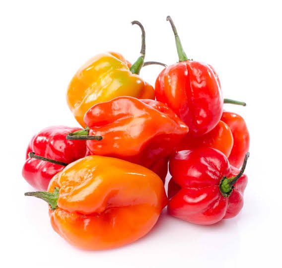 TITOSchops's tweet photo. Habanero Pepper: 🌶️ #Habanero - Handle with care! It's super-spicy and should be used sparingly to avoid setting your taste buds on fire 🥵. https://t.co/X3Ee7awnq6