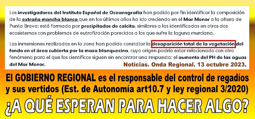 AlianzaMarmenor's tweet photo. #AMARME.
Los problemas de eutrofización del #MarMenor no se pueden seguir ocultando.
Las inmersiones realizadas en la zona en la que ha aparecido la extraña mancha blanca que ha ido creciendo en los últimos años, han constatado la desaparición total de la vegetación del fondo. https://t.co/Qd839cfpow