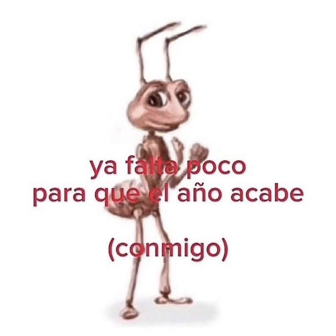 no me llamo vicenta (@kansaita_) on Twitter photo 
