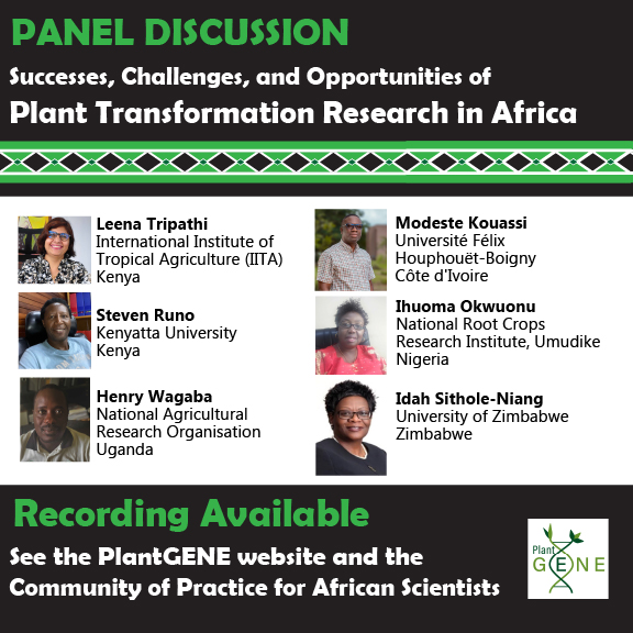 PlantGENE (@plant_gene) on Twitter photo Panel Discussion Recording Available!
plantgene.atlassian.net/l/cp/yCX32zQX
Learn about the successes, challenges, and opportunities of plant transformation research in Africa from six experts.
<a href="/IITA_CGIAR/">IITA</a> <a href="/KenyattaUni/">Kenyatta University #ExperienceKU</a> <a href="/UFHB_Officiel/">Université Félix Houphouët-Boigny - UFHB Officiel</a> <a href="/narouganda/">NARO Uganda</a> <a href="/nrcri_umudike/">NRCRI UMUDIKE</a> <a href="/UzSec/">UNIVERSITY OF ZIMBABWE SRC🇿🇼</a>
#plant #biotechnology Panel Discussion Recording Available!
plantgene.atlassian.net/l/cp/yCX32zQX
Learn about the successes, challenges, and opportunities of plant transformation research in Africa from six experts.
<a href="/IITA_CGIAR/">IITA</a> <a href="/KenyattaUni/">Kenyatta University #ExperienceKU</a> <a href="/UFHB_Officiel/">Université Félix Houphouët-Boigny - UFHB Officiel</a> <a href="/narouganda/">NARO Uganda</a> <a href="/nrcri_umudike/">NRCRI UMUDIKE</a> <a href="/UzSec/">UNIVERSITY OF ZIMBABWE SRC🇿🇼</a>
#plant #biotechnology