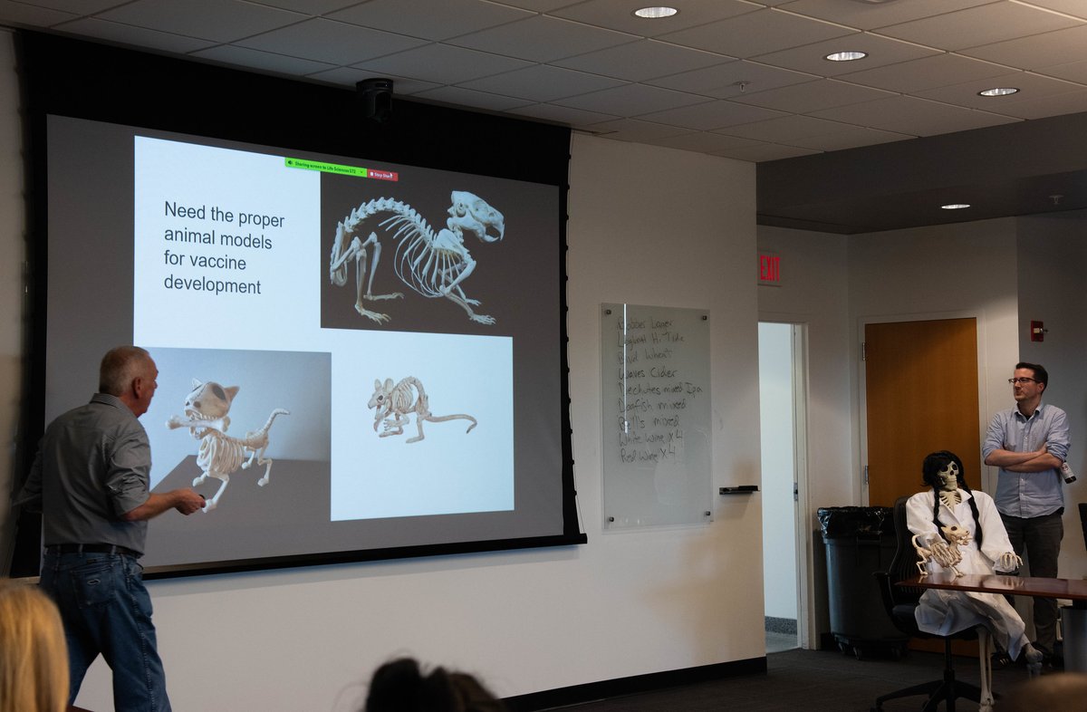 BondLifeSci's tweet image. You can tell Halloween is right around the corner. Bill &amp;amp; Wendy Picking hosted Bond LSC&apos;s social Friday, sharing lab updates about their work understanding bacteria and refining vaccines. 
They even brought their research assistant, Dr. Bones. 
#MizzouResearch #Spookyscience