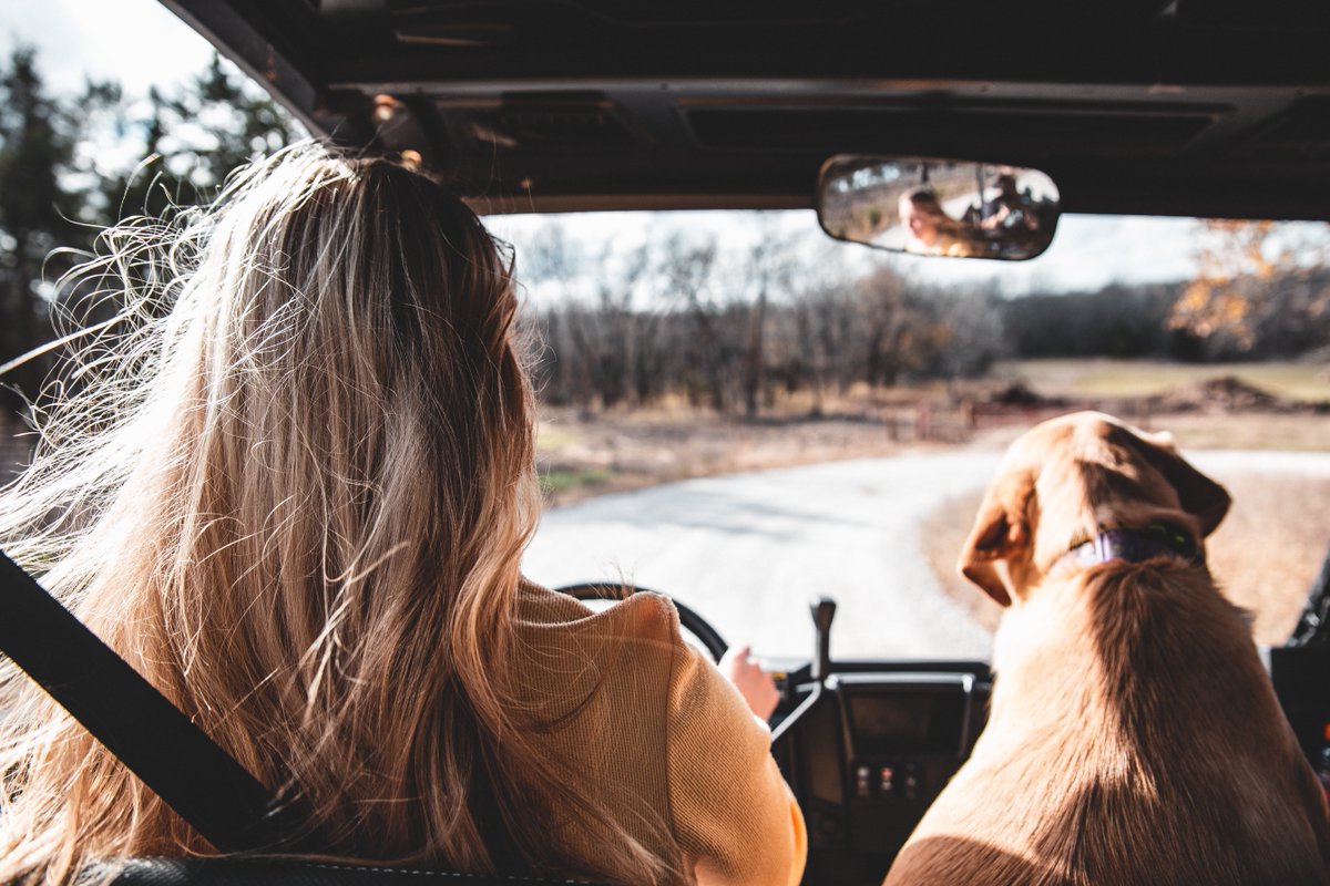 GSatUS's tweet photo. 🤖 "The digital age is not about devices, but about the stories they help us tell." Let's narrate the future. Track your adventures and tell the tales with GSatSolar and GSatTrack Shared Views.
#TechStories #GSatSolar #GSatTrack https://t.co/jJ8hOtM1fd