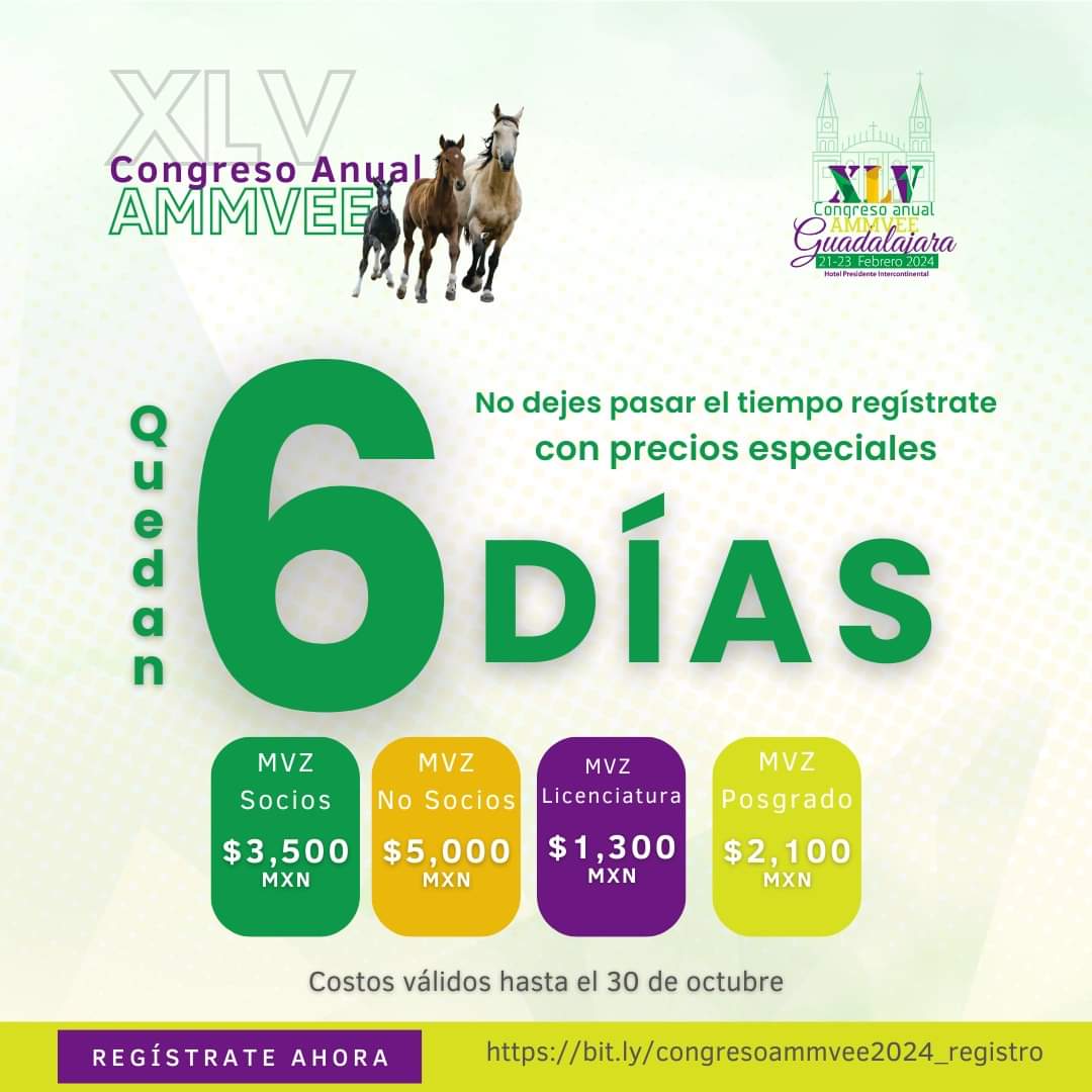 ammvee's tweet photo. ⏳ ¡Comienza la cuenta regresiva!

Solo quedan 6 días para aprovechar los precios especiales de registro para el XLV Congreso Anual AMMVEE. No te quedes fuera de este evento excepcional.

Regístrate ahora: 📲https://t.co/tzmSsazbyb
.
.
#AMMVEE2024 https://t.co/AMm4Uk0hjF