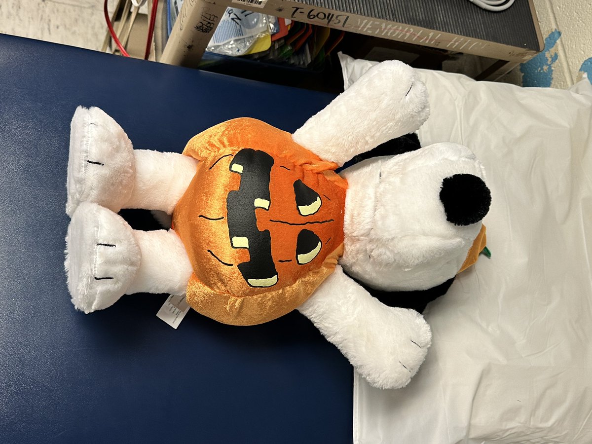 SnoopyWhereRU's tweet photo. I’m feeling tired! @Anadgar16 @Pride_Mustangs https://t.co/kdQF3m5MWh