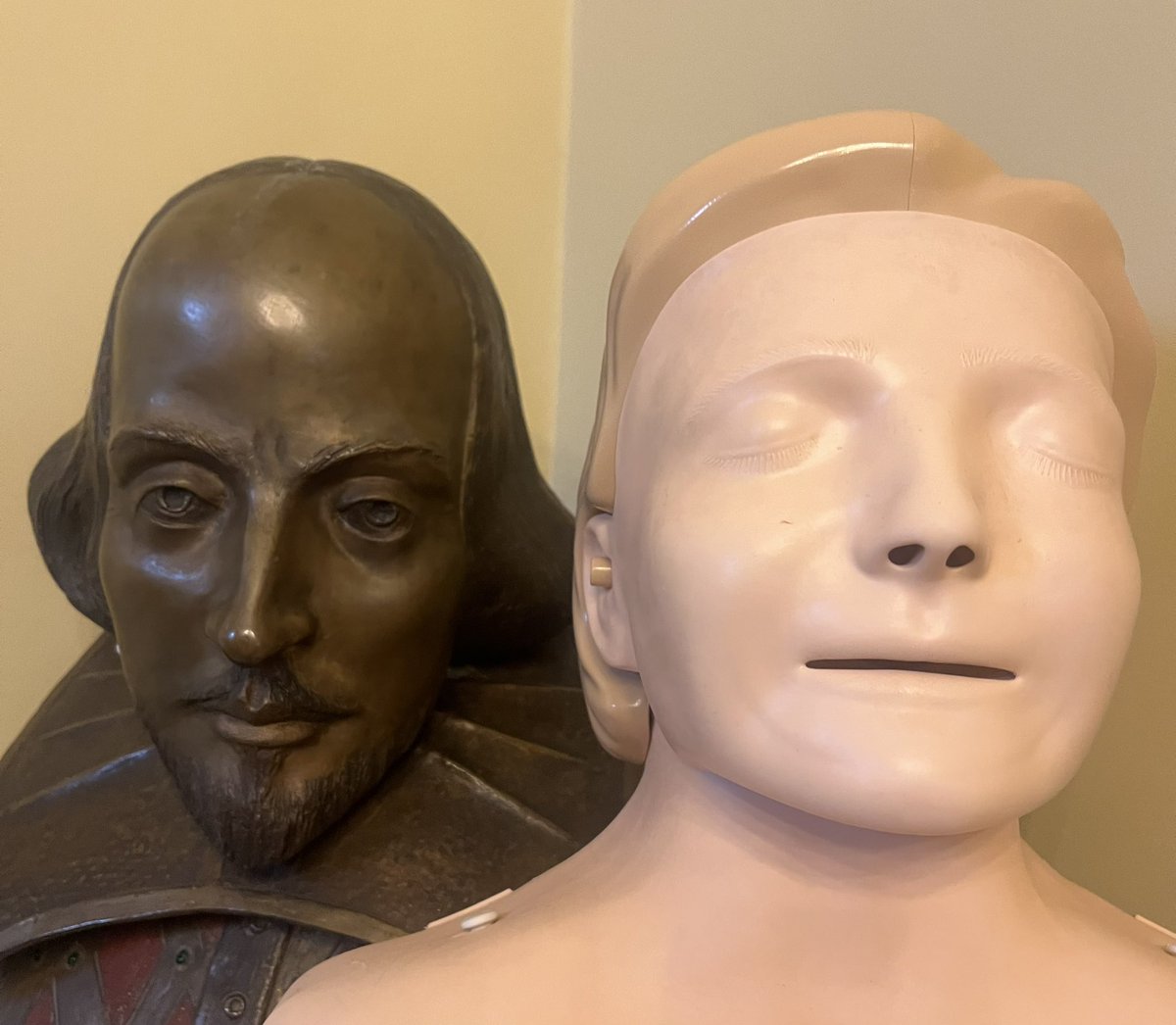 Brookvale First Aid tweet media