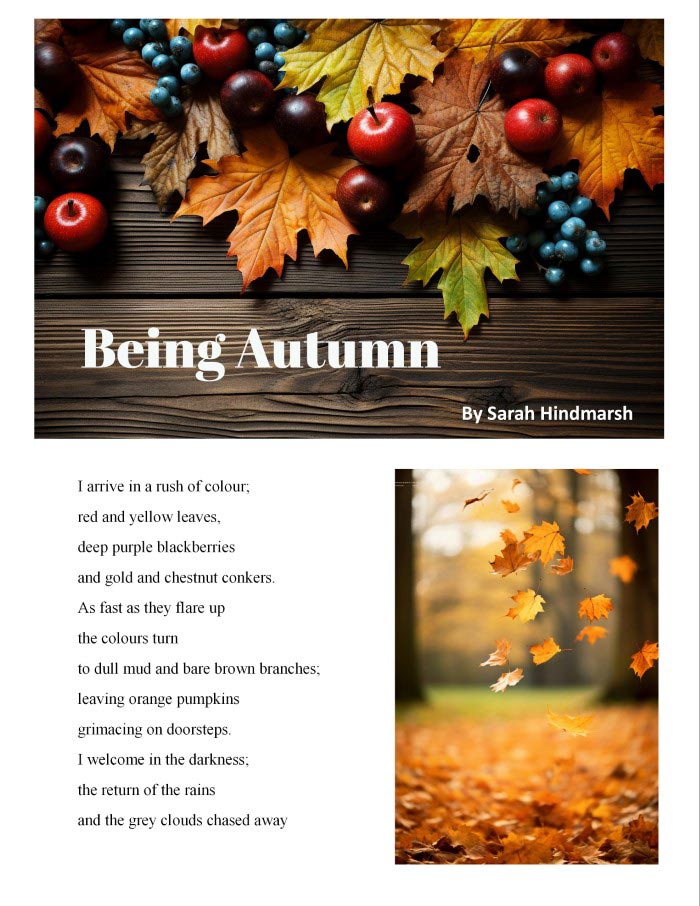 Connections eMagazine tweet media