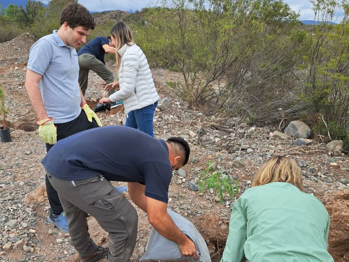 YamelAses's tweet photo. 🌎 En el marco del Día Internacional contra el Cambio Climático la @munigodoycruz realizó:

🌱 La Huerta Comunitaria en la Esc. San Francisco de Asís 

🌱 La plantación de 20 especies autóctonas de árboles junto a Knight Piésold en el Piedemonte Godoycruceño 

#GCSustentable 🌱 https://t.co/dAjfpxBNzp