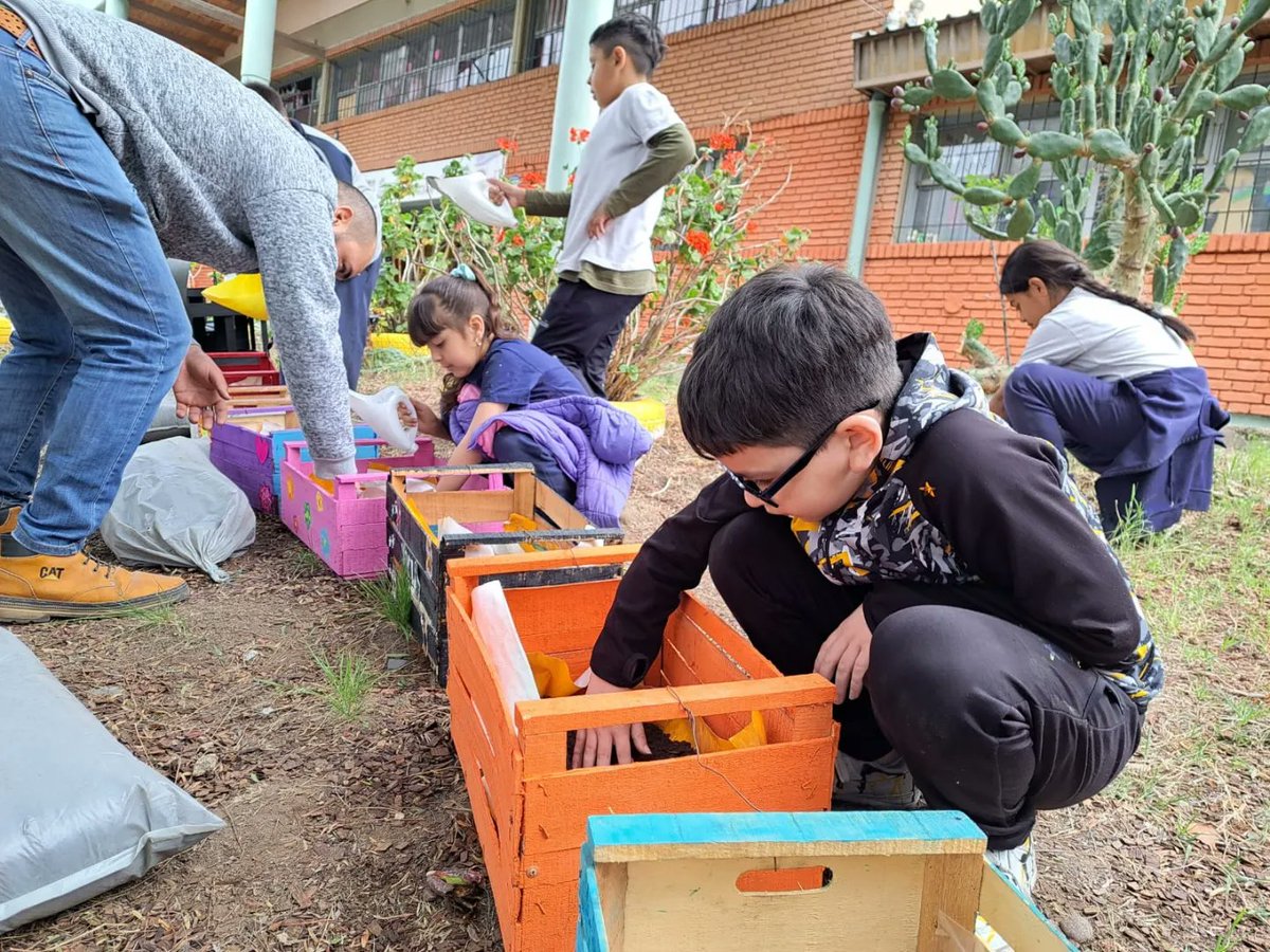 YamelAses's tweet photo. 🌎 En el marco del Día Internacional contra el Cambio Climático la @munigodoycruz realizó:

🌱 La Huerta Comunitaria en la Esc. San Francisco de Asís 

🌱 La plantación de 20 especies autóctonas de árboles junto a Knight Piésold en el Piedemonte Godoycruceño 

#GCSustentable 🌱 https://t.co/dAjfpxBNzp