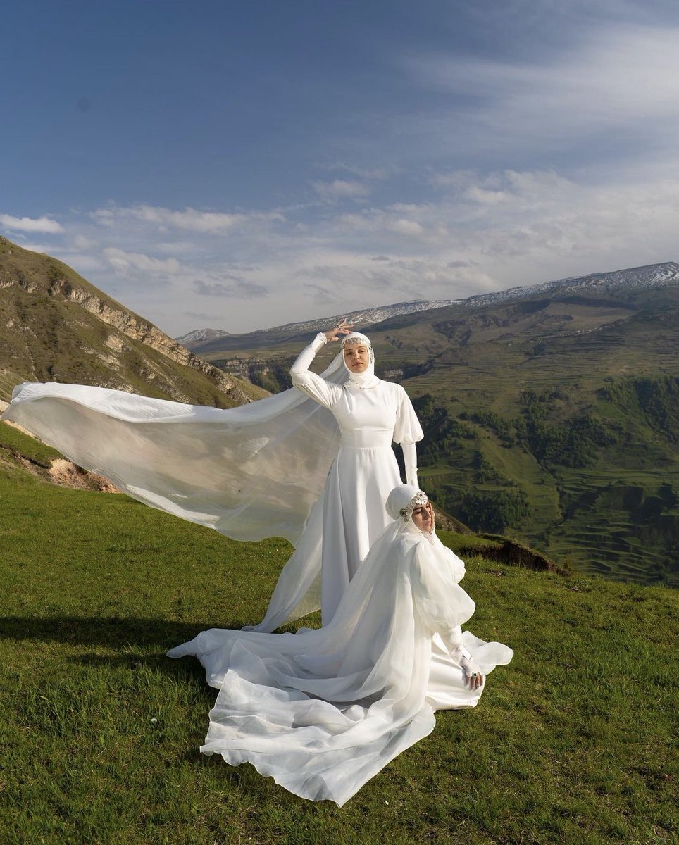 The True Caucasians tweet media