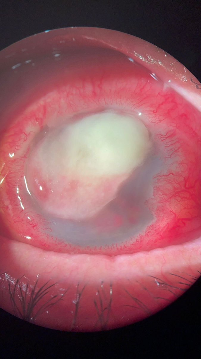 jnalmeidajr tweet media