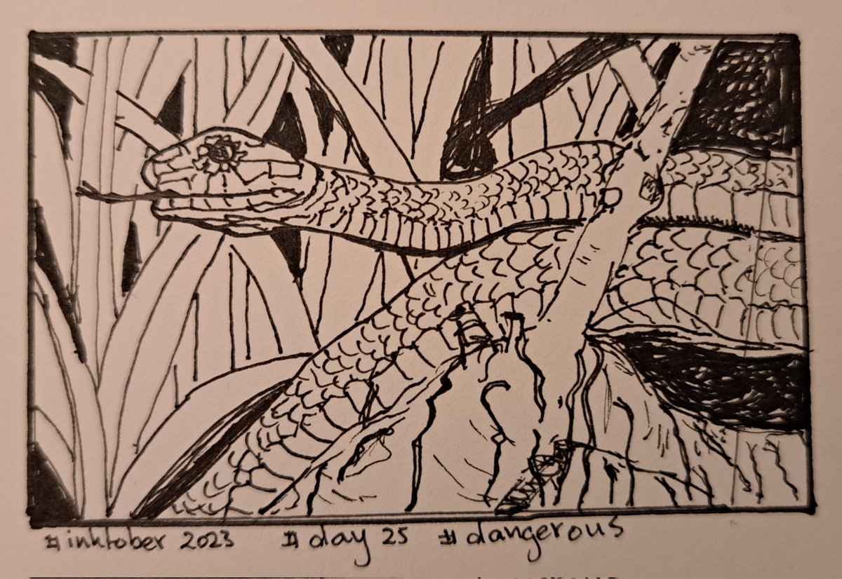 RiaBrands tweet media