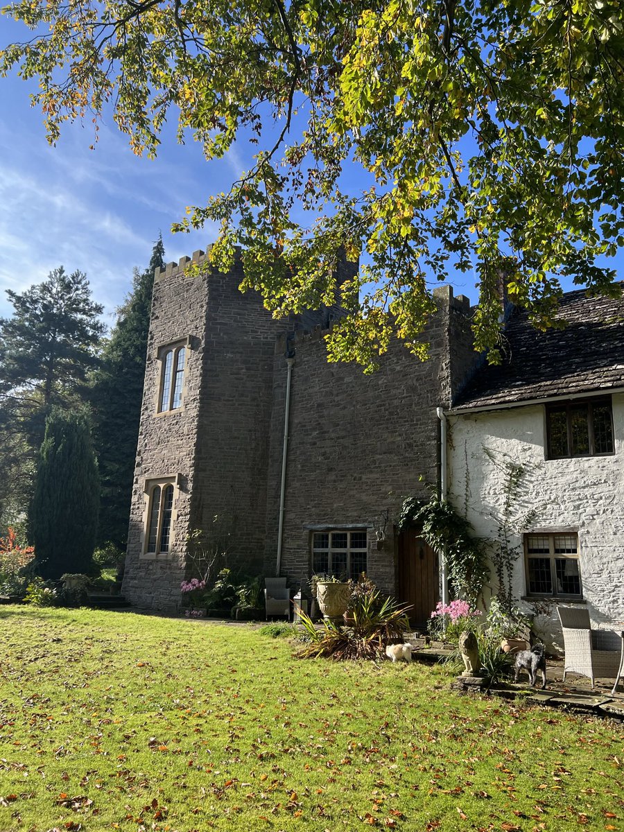 WelshCastle's tweet photo. A lovely Autumn day at home https://t.co/OfE31wwNx4
