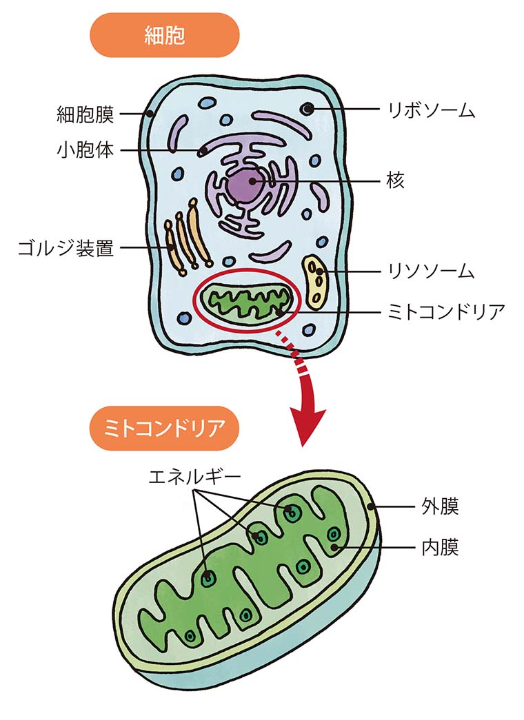 ジェーン tweet media