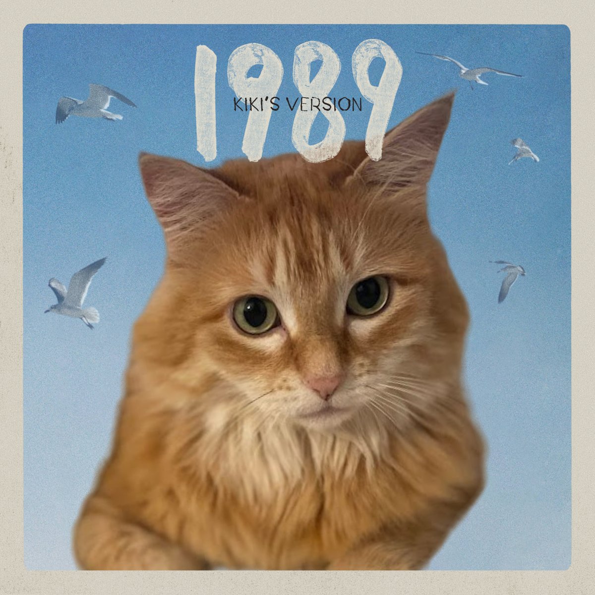 97Olstad's tweet image. omg i love it. Kiki is a Swiftie #1989TaylorsVersion @taylornation13  @taylorswift13