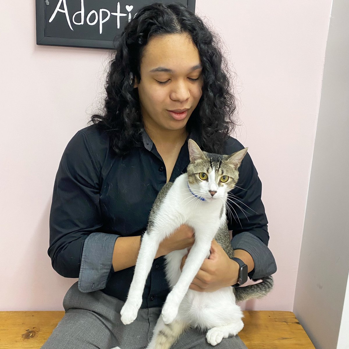 Miso also went home! 🎉 His dad was a frequent visitor to the lounge and came back to visit Miso a few times before deciding to bring him home 🥲. He was really excited to be a #catdad 🤍. Happy Adoption Day, Miso ✨ #TCMCalumni