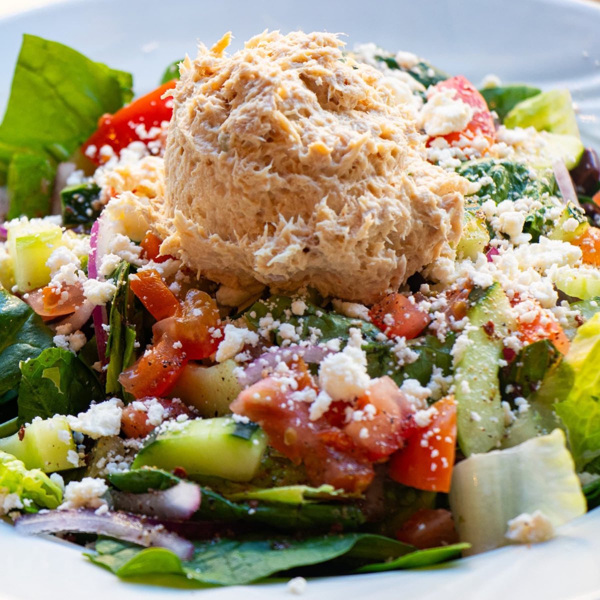 Have you tried our Santorini Tuna Salad? It’s one of our weekday specials! 🥗🍴

 All specials are $16 and come with a bottomless beverage of your choice! Don’t miss out! 🙌