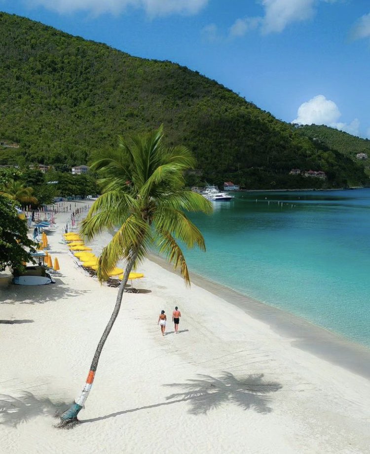 Tropical temperatures, palm fringed beaches, tantalising cuisine and stunning accommodations………. wish you were here?! ✨❤️🇻🇬 #BVI #Travel #britishvirginislands #Paradise IG 📷 beach.bums_