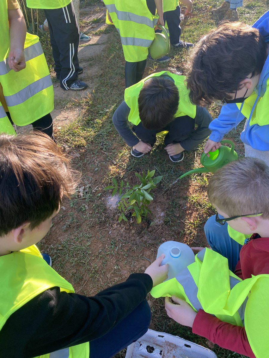 Terra Centre Eco Club (@tc_ecoteam) on Twitter photo Master gardener Mary Teague was at TC today to help us learn about native shrubs and attracting more life to our pollinator garden. <a href="/fcpsGet2Green/">FCPS Get2Green</a> Master gardener Mary Teague was at TC today to help us learn about native shrubs and attracting more life to our pollinator garden. <a href="/fcpsGet2Green/">FCPS Get2Green</a>
