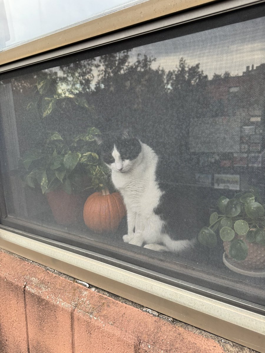 town_sendit's tweet photo. Been getting to know the new neighbor https://t.co/DpbIAdHbWF