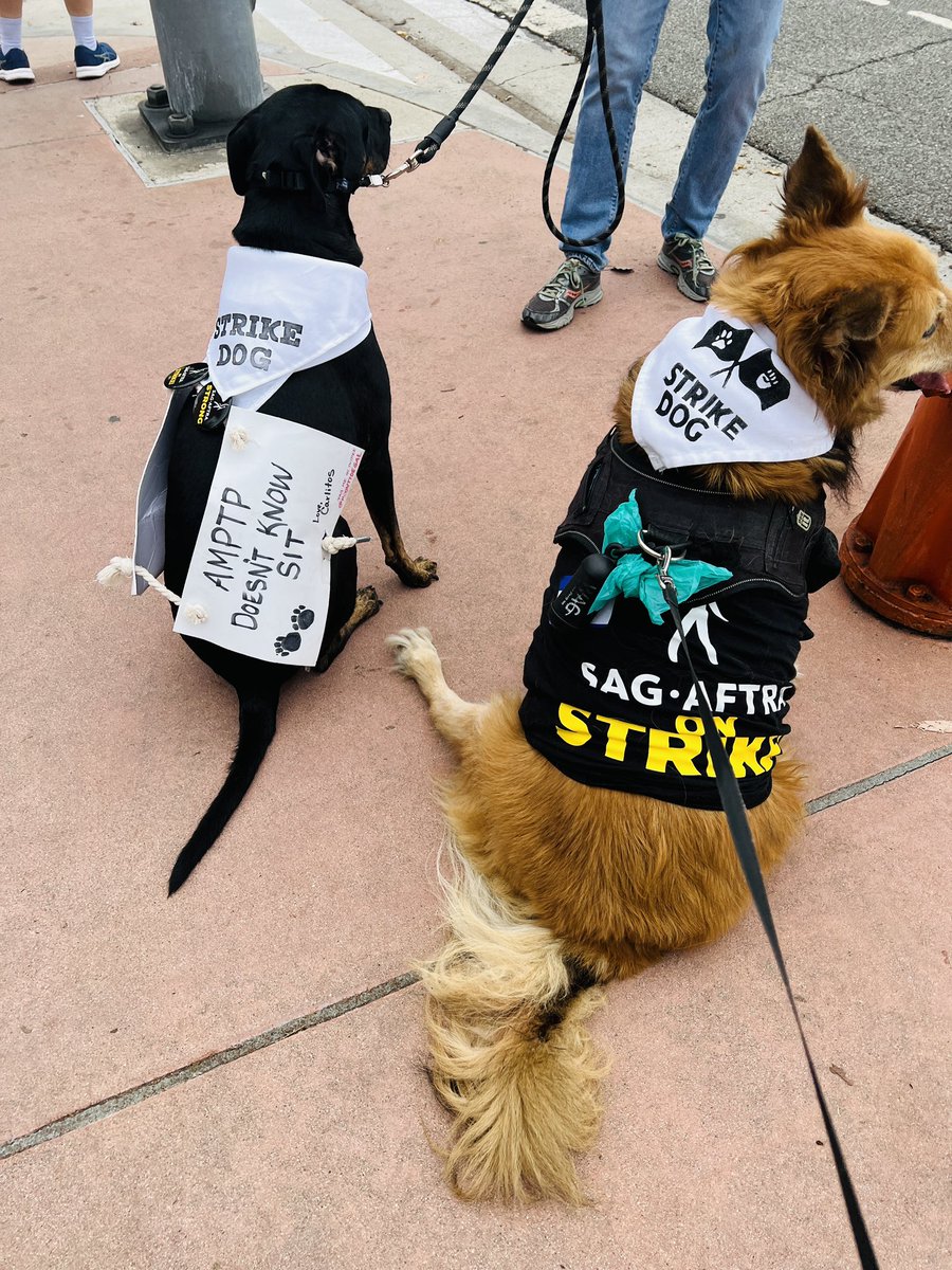 trish johnson tweet media