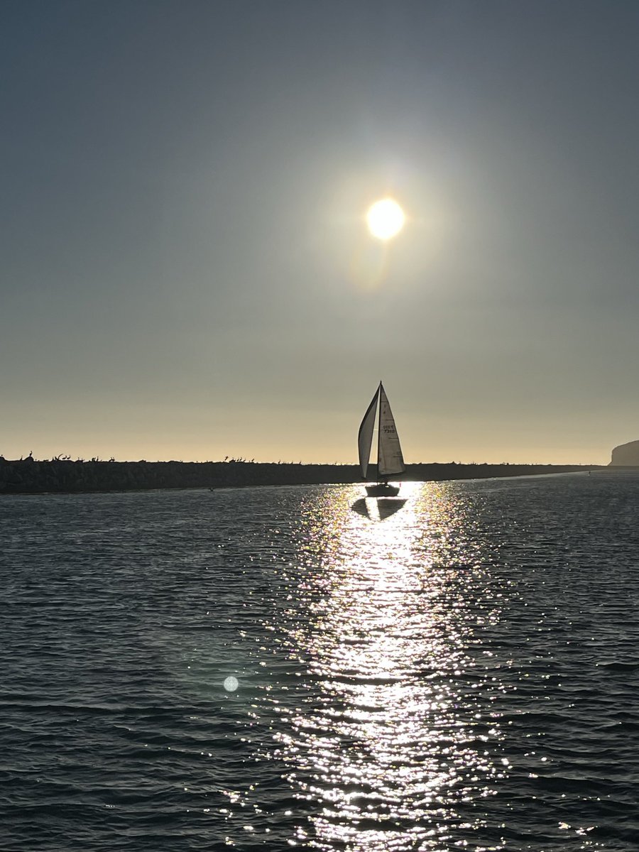 Mary Pat Kessler tweet media