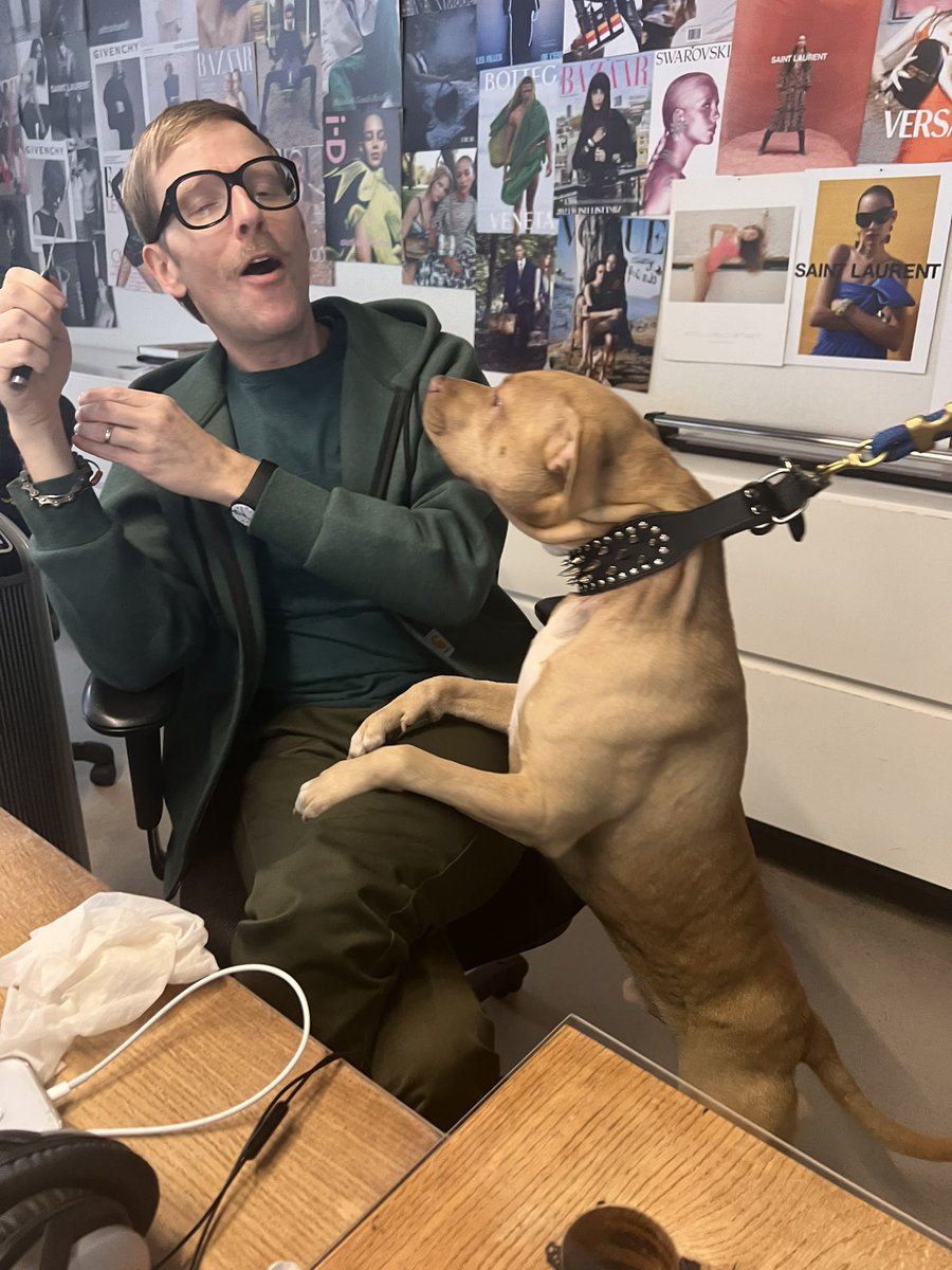 That’s a Zestar in my left hand, of course Link wants a bite.