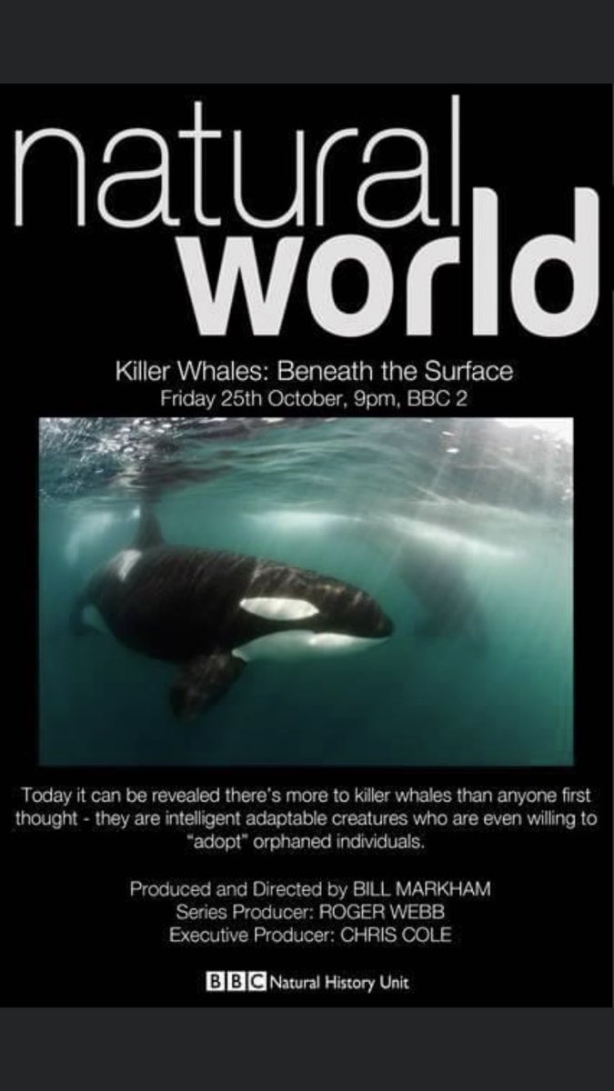 billmarkham99's tweet photo. Ten years since this went out. A career-changing moment thanks to @MrGlikesnature @Webbloe @TIBBLESSCOTT #simonniblett #nickcarline #timevans #orca #killerwhale https://t.co/kONDv7eX7y