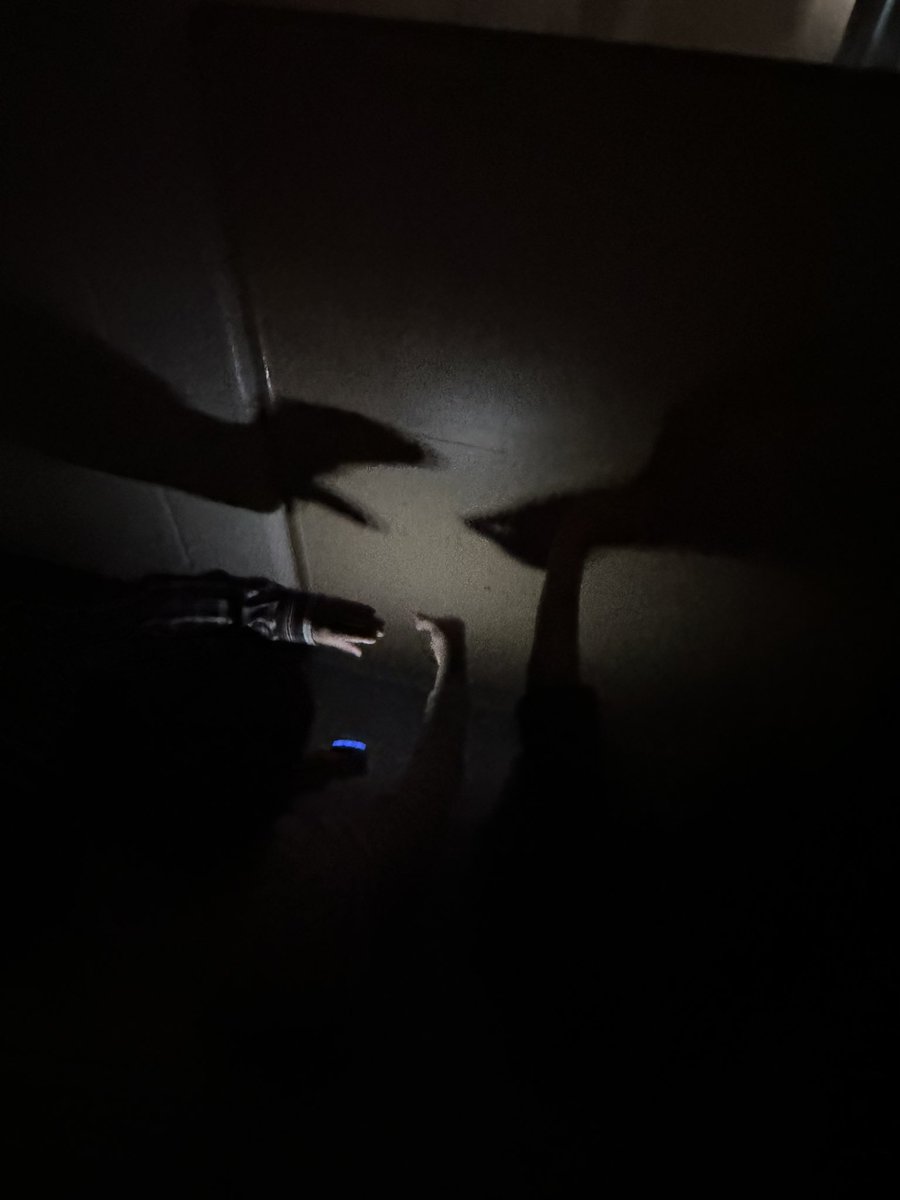 Kait_Dan's tweet image. Exploring light &amp;amp; shadows with flashlights! 
@LaBelleESLions #CobbScience #FirstGrade