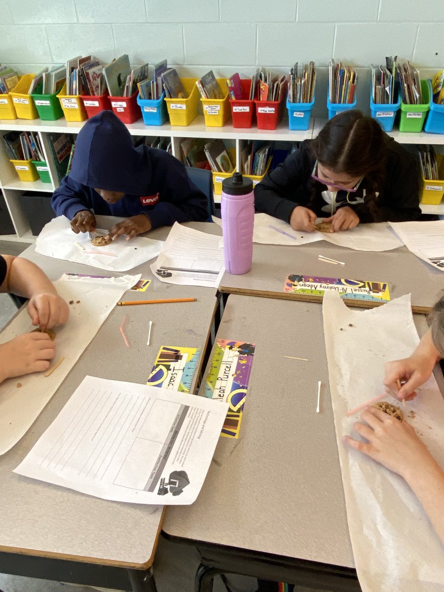 TerriWhiteGr6's tweet image. Cookie Mining! #gr4science #fossils #rocksmineralserosion  @StTeresasSchoo1