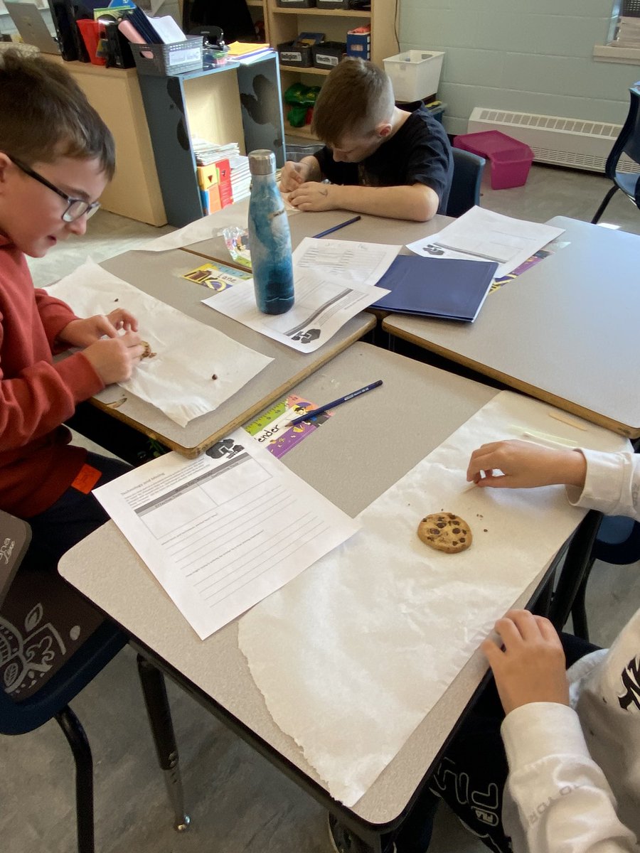 TerriWhiteGr6's tweet image. Cookie Mining! #gr4science #fossils #rocksmineralserosion  @StTeresasSchoo1