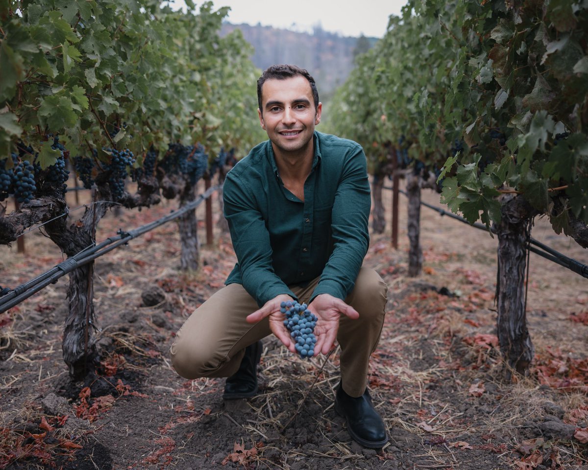 Collective Napa Valley tweet media