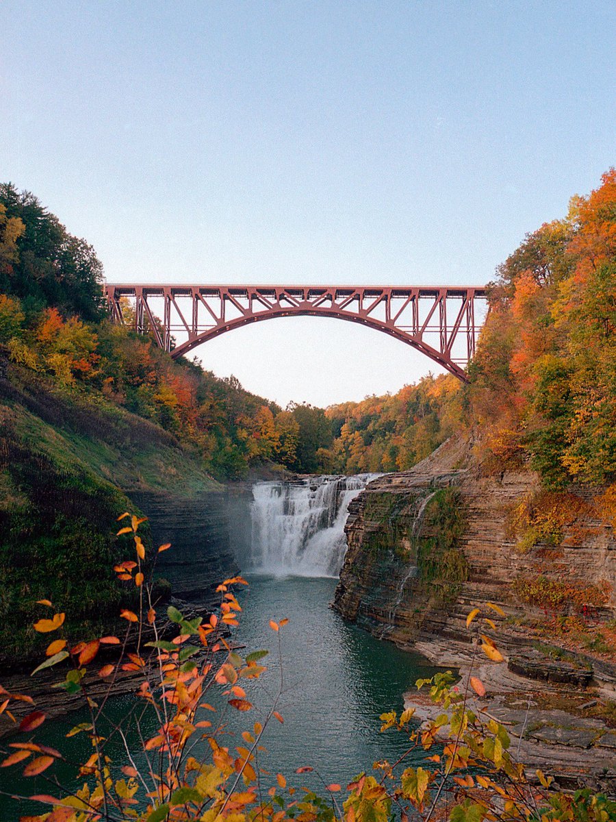 nev_in_color's tweet photo. Autumn on 35mm 🎞️ https://t.co/XtpoIYOWKg