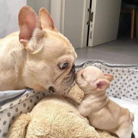 Great photographs 😍🥰