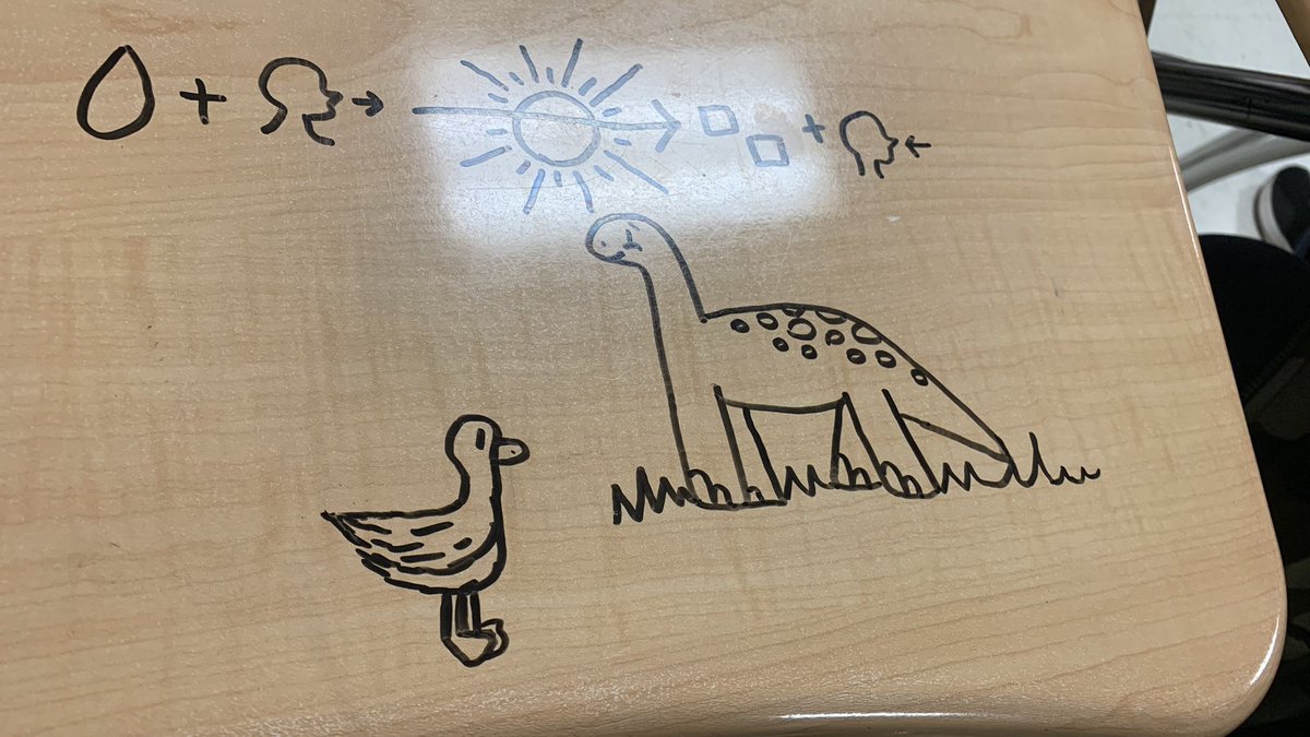 Spalding_Bio's tweet photo. One of my students regularly uses a dry erase marker on his desks to sketch diagrams and notes to reinforce our learning. It is always interesting to see what he generates on a daily basis. Gives meaning to “show your thinking”.  
#RHSScience @RHSRaiders https://t.co/9yAQzkA9AB