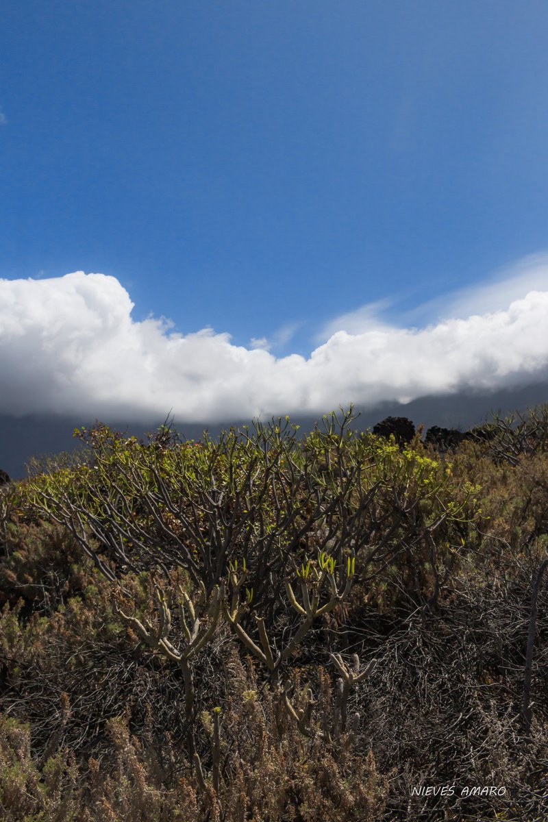 Vámonossss a soñar bonito !!!
Cuatro momentos en mi terruño 😉
#ElHierro