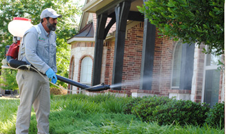 HomeRunPest's tweet image. Timing matters, especially when battling mosquitoes! 🦟 Find out the optimal time to schedule your yard's mosquito spray. Stay bite-free: 🌐 bit.ly/3rXm7yl #MosquitoControl #HomeRunPest