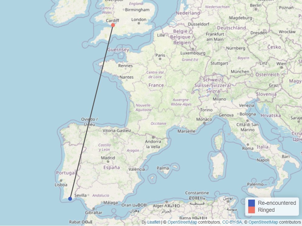 Au_Erithacus's tweet photo. Ringing can be incredibly rewarding at times! Today, we had a remarkable sighting. A LBBG ringed on @Flatholmers in 1993 was seen in Portugal this month by Thijs Horst! This amazing bird still has some years ahead before beating the longevity record, but… https://t.co/EnUv9qAmF1