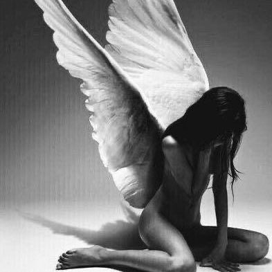 badcaloriess's tweet image. como ser un ángel y no morir en el intento🦢౨ৎ⋆｡˚
-diet victoria secret+subliminales🍷.